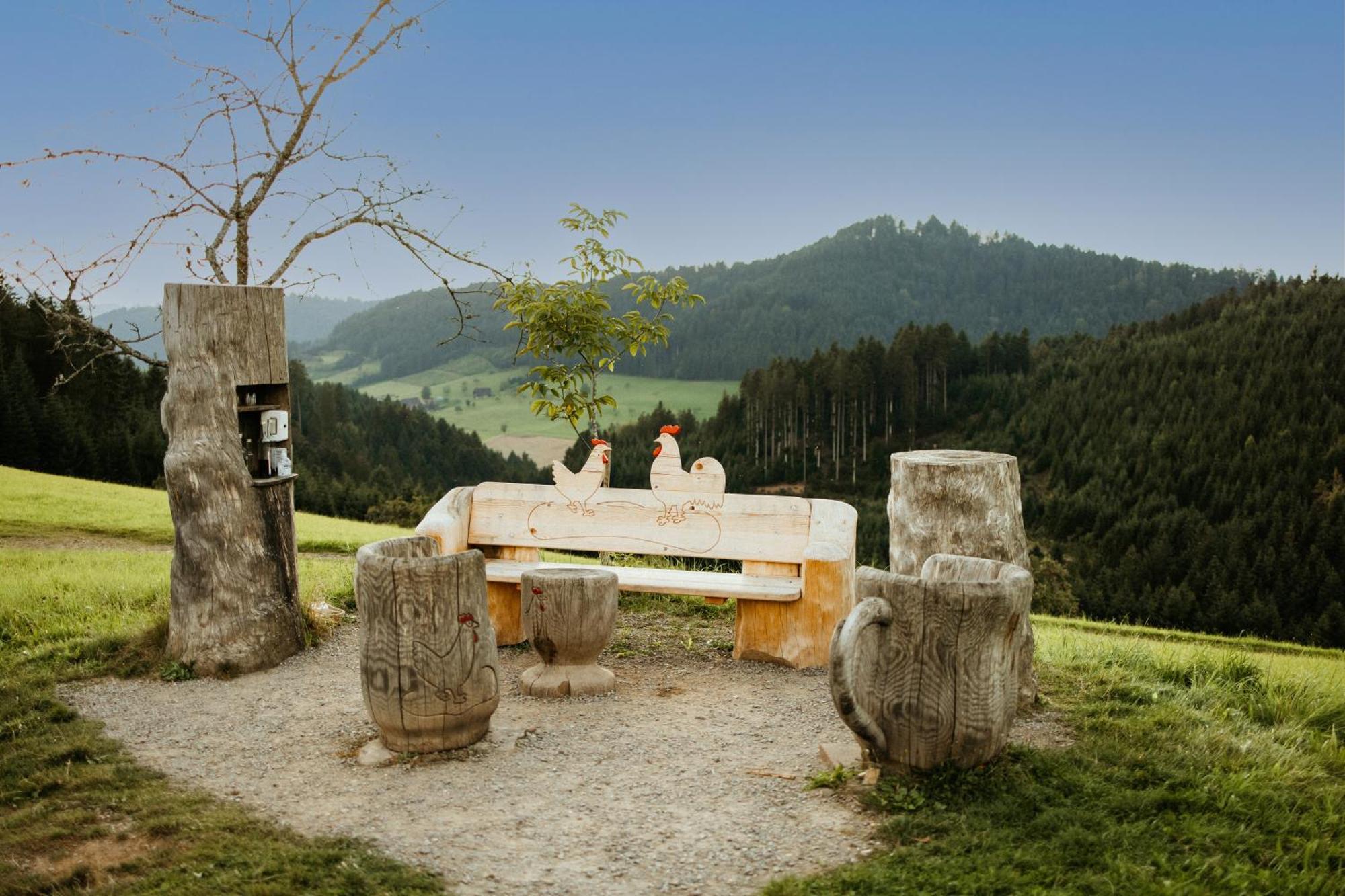 Landhotel Gasthaus Zum Pflug Zell am Harmersbach Kültér fotó
