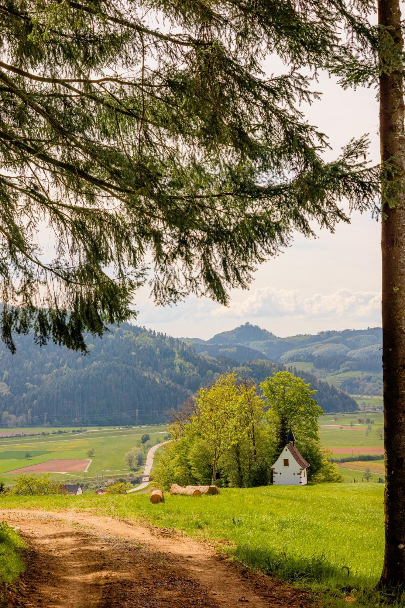Landhotel Gasthaus Zum Pflug Zell am Harmersbach Kültér fotó